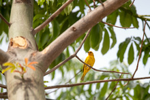 Se les acab&oacute; el berrinche a Linda y Leticia en el Bulevar de Oriente
