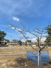 Se les acab&oacute; el berrinche a Linda y Leticia en el Bulevar de Oriente