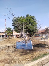 Se les acab&oacute; el berrinche a Linda y Leticia en el Bulevar de Oriente