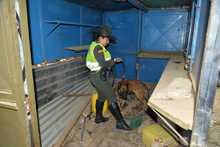 Recuperados 2.4 kil&oacute;metros, continuar&aacute; el reforzamiento del Jarill&oacute;n