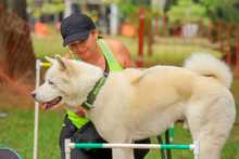 Los habitantes del norte de Cali tambi&eacute;n gozan la variada oferta en la Ciclo vida