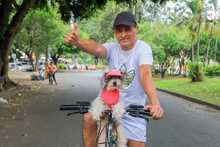 Los habitantes del norte de Cali tambi&eacute;n gozan la variada oferta en la Ciclo vida