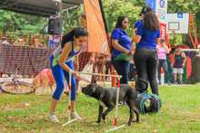 Los habitantes del norte de Cali tambi&eacute;n gozan la variada oferta en la Ciclo vida
