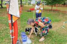 Los habitantes del norte de Cali tambi&eacute;n gozan la variada oferta en la Ciclo vida