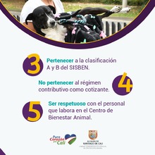 requisitos para acceder a atenci&oacute;n veterinaria en el CBA