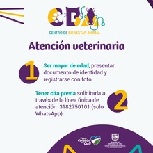 requisitos para acceder a atenci&oacute;n veterinaria en el CBA