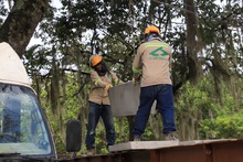 Avance de obra Cristo Rey Senderos