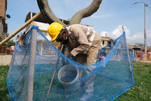 Avance de obras del Bulevar del Oriente