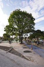 Avance de obras del Bulevar del Oriente