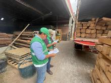 Cali extrema medidas para la protecci&oacute;n de flora en peligro de extinci&oacute;n