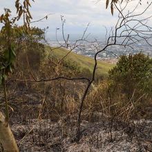Dagma mitig&oacute; riesgo de nuevo incendio en el cerro de Las Tres Cruces