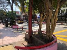 Este viernes 4 de agosto, la Avenida Sexta ser&aacute; rumba y sabor