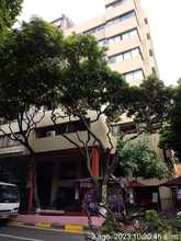 El Dagma realiza mantenimiento preventivo en &aacute;rboles de la Avenida Sexta