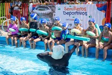 Masivo programa de nataci&oacute;n proyecta la formaci&oacute;n de m&aacute;s de 1000 ni&ntilde;os en los barrios de Cali
