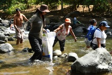 Caleños madrugaron a consentir al río Cali y cuidar el cerro de Cristo Rey