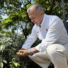 &lsquo;Zonas te Queremos Cali&rsquo; resplandece en el Parque Versalles