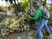 &lsquo;Zonas te Queremos Cali&rsquo; resplandece en el Parque Versalles