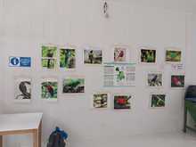 Verde que te quiero verde, una iniciativa ciudadana por el corregimiento de la Leonera