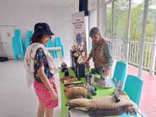Verde que te quiero verde, una iniciativa ciudadana por el corregimiento de la Leonera