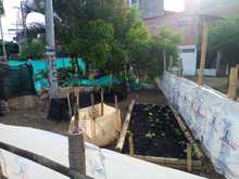 Semilla de Amor construye tejido social en Llano Verde