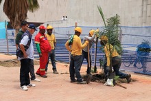 Entregan parcialmente obras del Paseo Bol&iacute;var, fase III del Parque Central r&iacute;o Cali