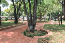 Entregan parcialmente obras del Paseo Bol&iacute;var, fase III del Parque Central r&iacute;o Cali