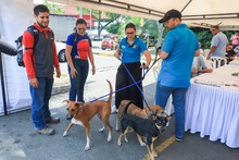 Cale&ntilde;os siguen adoptando a los seres sintientes m&aacute;s vulnerables