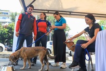 Cale&ntilde;os siguen adoptando a los seres sintientes m&aacute;s vulnerables