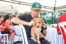 Cale&ntilde;os siguen adoptando a los seres sintientes m&aacute;s vulnerables