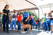 Cale&ntilde;os siguen adoptando a los seres sintientes m&aacute;s vulnerables