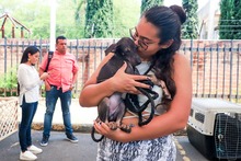 Cale&ntilde;os siguen adoptando a los seres sintientes m&aacute;s vulnerables