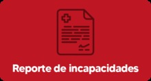 Bot&oacute;n - Reporte de Incapacidades