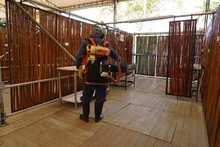 Autoridad sanitaria est&aacute; lista para acompa&ntilde;ar la versi&oacute;n XXVII del Festival Petronio &Aacute;lvarez