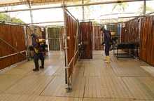 Autoridad sanitaria est&aacute; lista para acompa&ntilde;ar la versi&oacute;n XXVII del Festival Petronio &Aacute;lvarez