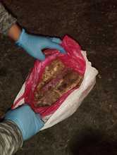 Dagma hace pedagog&iacute;a y ejerce autoridad para que en el &lsquo;Petronio&rsquo; no se comercialicen especies de fauna silvestre