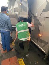 Dagma hace pedagog&iacute;a y ejerce autoridad para que en el &lsquo;Petronio&rsquo; no se comercialicen especies de fauna silvestre