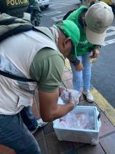 Dagma hace pedagog&iacute;a y ejerce autoridad para que en el &lsquo;Petronio&rsquo; no se comercialicen especies de fauna silvestre