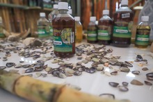 Con viche, curao y tomaseca, en el Petronio &Aacute;lvarez el mundo dice &iexcl;Salud! 