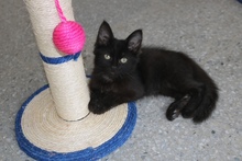 Beneficiarios de Todas y Todos a Estudiar, comprometidos con el cuidado y protecci&oacute;n de los seres sintientes 