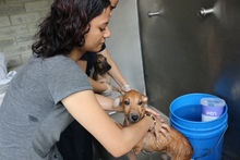 Beneficiarios de Todas y Todos a Estudiar, comprometidos con el cuidado y protecci&oacute;n de los seres sintientes 