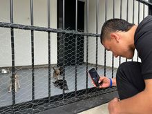 Beneficiarios de Todas y Todos a Estudiar, comprometidos con el cuidado y protecci&oacute;n de los seres sintientes 