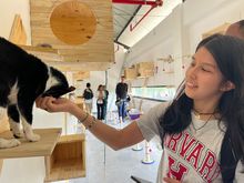 Beneficiarios de Todas y Todos a Estudiar, comprometidos con el cuidado y protecci&oacute;n de los seres sintientes 