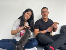 Beneficiarios de Todas y Todos a Estudiar, comprometidos con el cuidado y protecci&oacute;n de los seres sintientes 