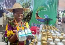 Viche, don de la naturaleza en el coraz&oacute;n del Petronio