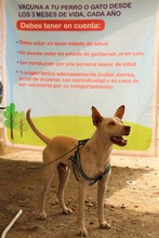 M&aacute;s de 200 personas recibieron atenci&oacute;n integral en la zona de renovaci&oacute;n urbana