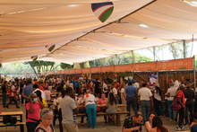 El Festival Petronio &Aacute;lvarez un camino al &eacute;xtasis 