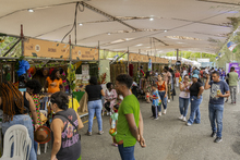 Los hombres peinadores del Petronio &Aacute;lvarez que &lsquo;trenzan&rsquo; a diario su legado
