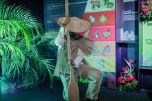 Parque Pac&iacute;fico inspir&oacute; a m&aacute;s de 6 mil visitantes en el Petronio &Aacute;lvarez