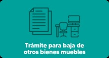 Botón - Trámite para baja de otros bienes muebles