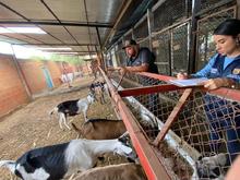 Unidad de Protecci&oacute;n Animal atendi&oacute; caso de animales en estado de desnutrici&oacute;n